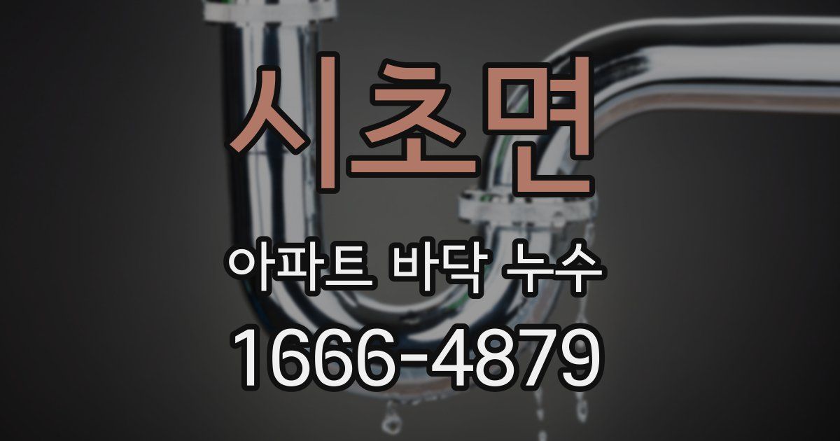 시초면 아파트 바닥 누수