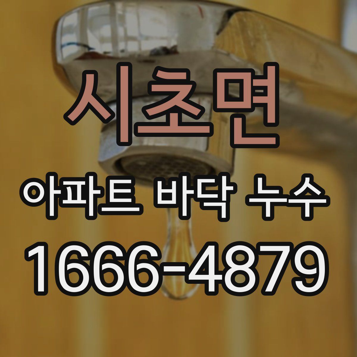 시초면 아파트 바닥 누수