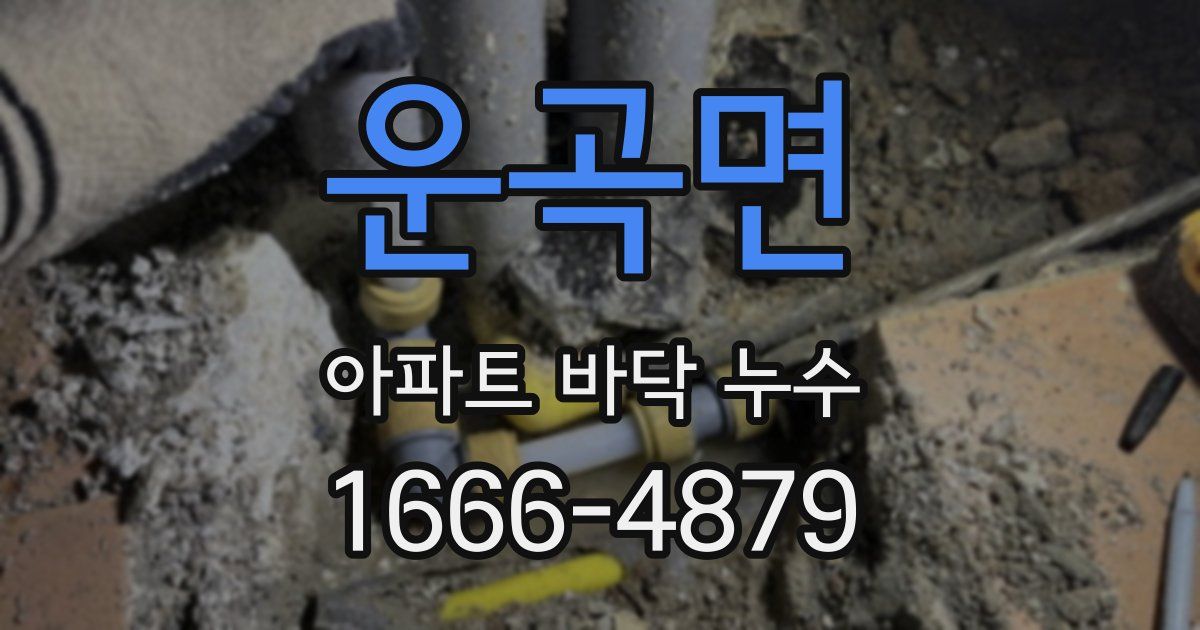 운곡면 아파트 바닥 누수