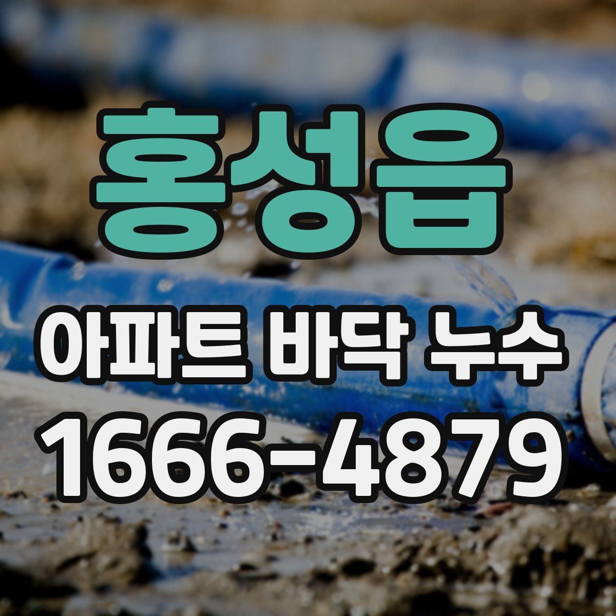 홍성읍 아파트 바닥 누수