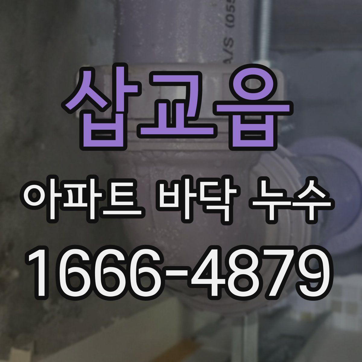 삽교읍 아파트 바닥 누수