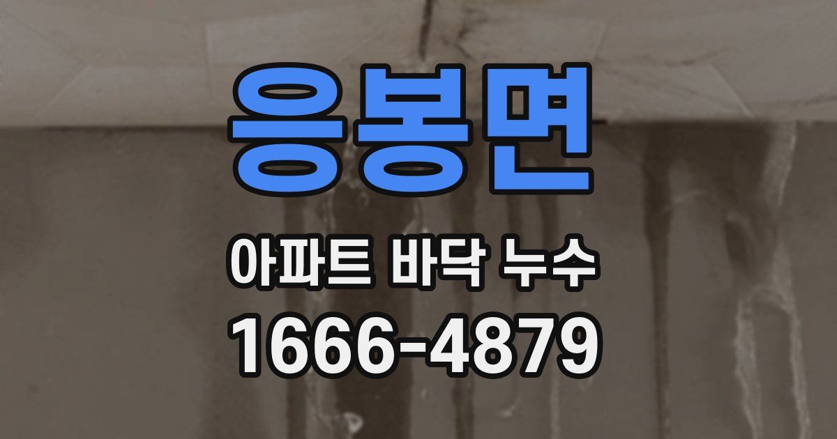 응봉면 아파트 바닥 누수