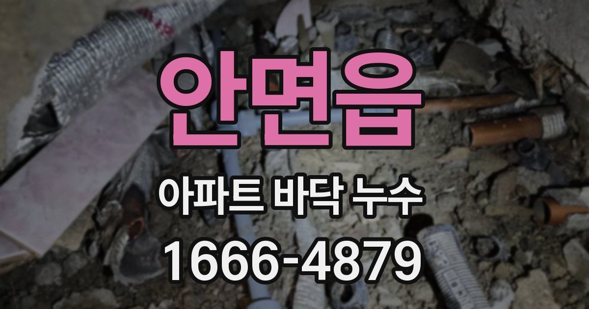 안면읍 아파트 바닥 누수