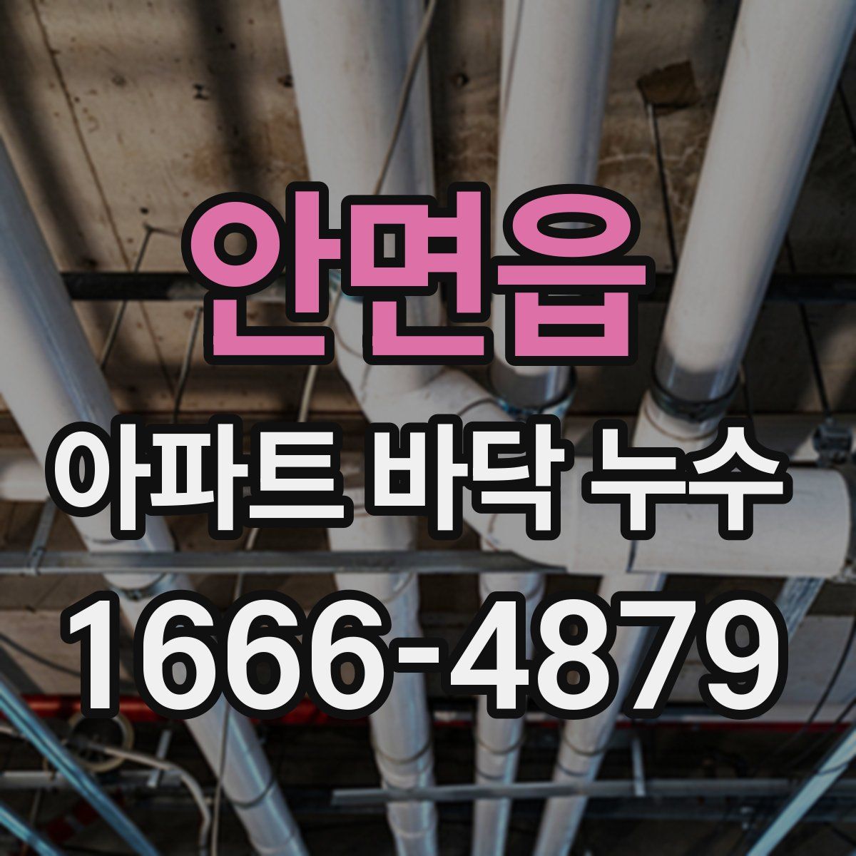 안면읍 아파트 바닥 누수