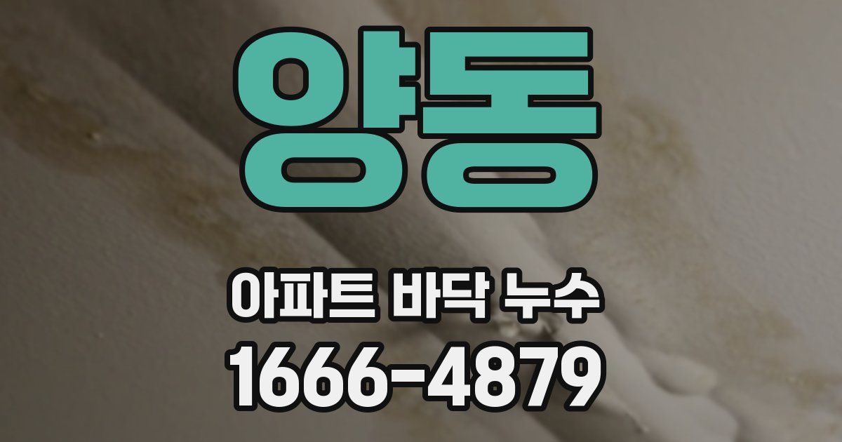 양동 아파트 바닥 누수