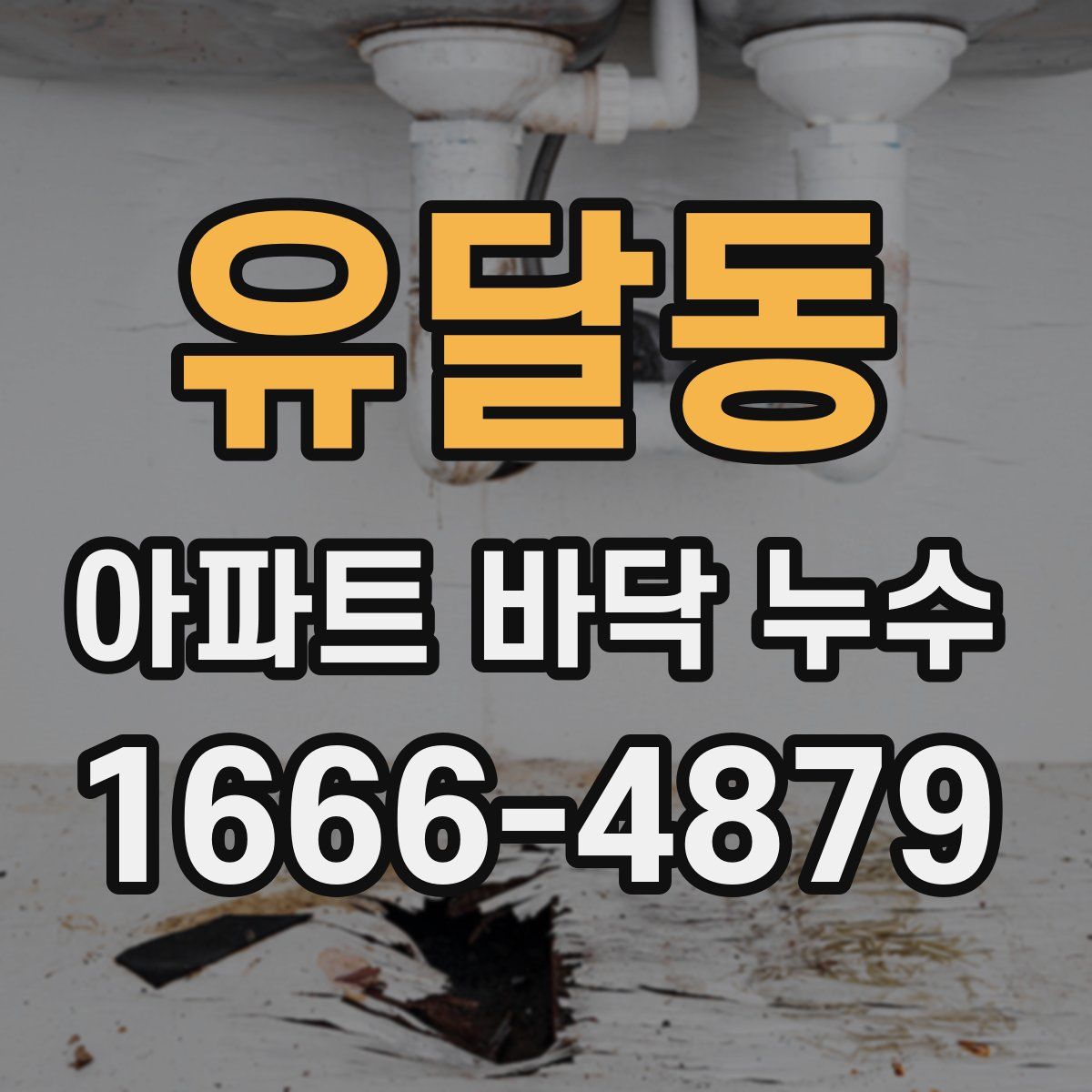 유달동 아파트 바닥 누수