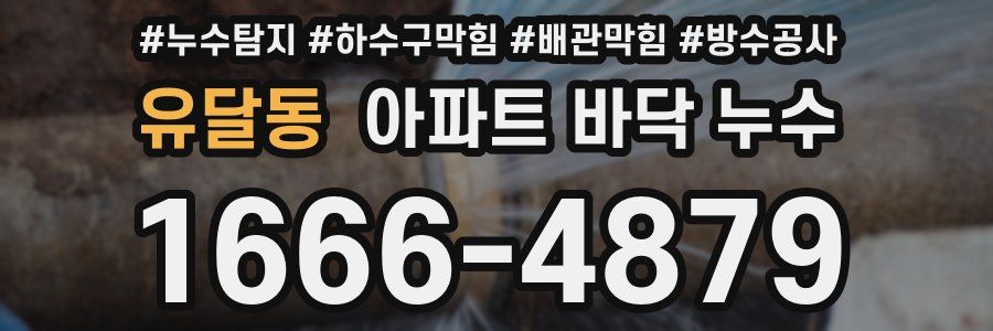 유달동 아파트 바닥 누수