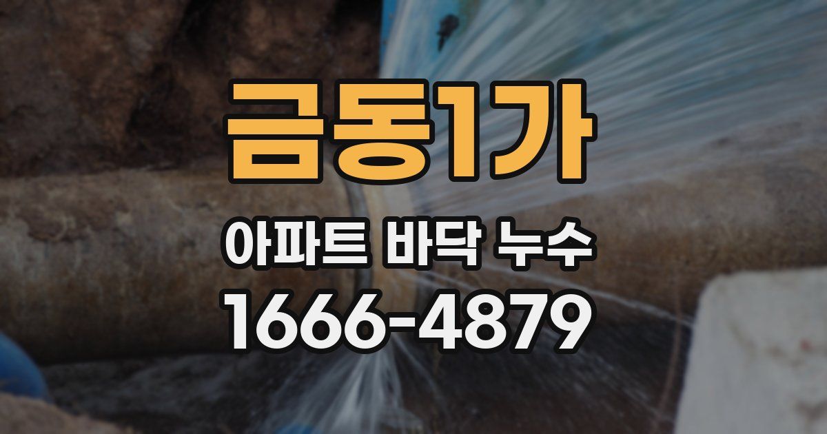 금동1가 아파트 바닥 누수