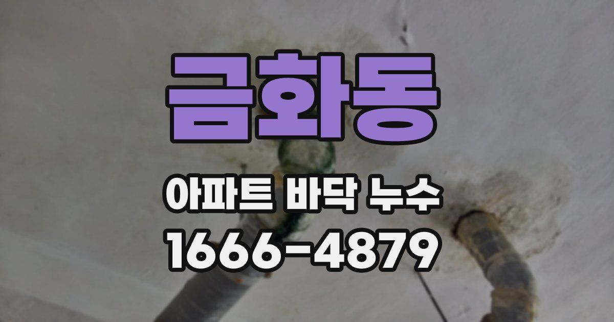 금화동 아파트 바닥 누수