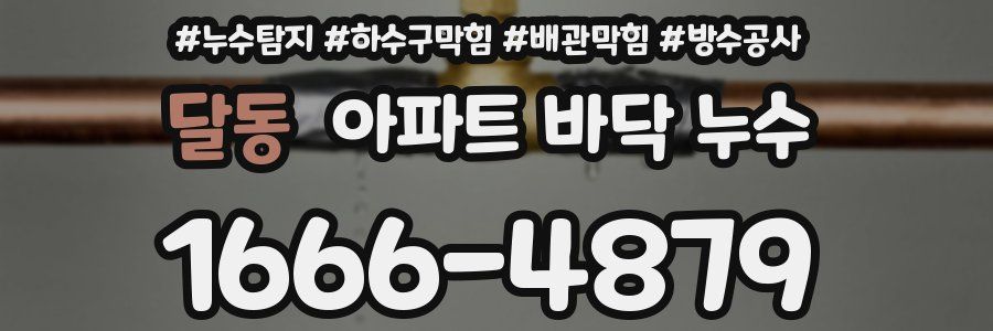 달동 아파트 바닥 누수