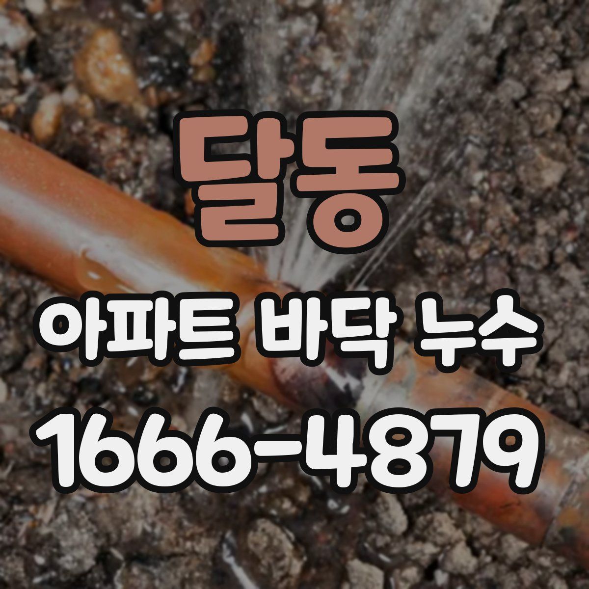 달동 아파트 바닥 누수