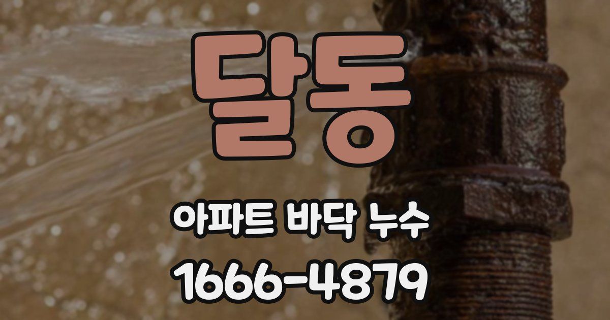 달동 아파트 바닥 누수