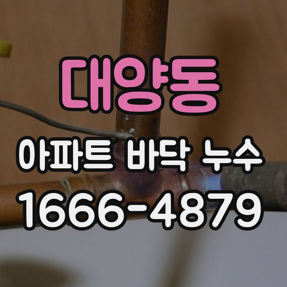 대양동 아파트 바닥 누수