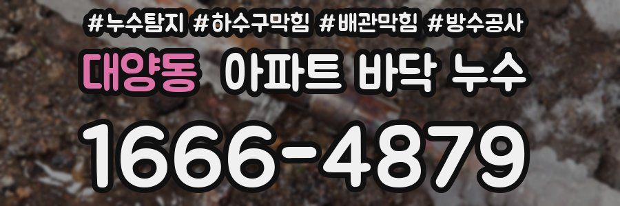 대양동 아파트 바닥 누수