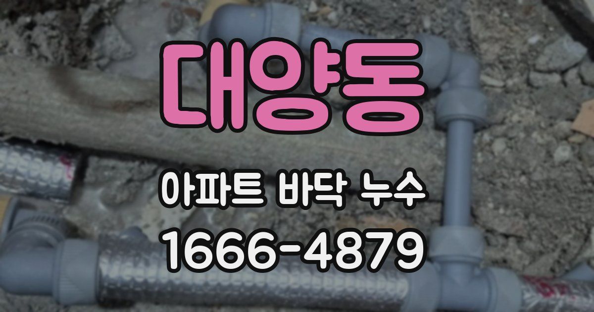 대양동 아파트 바닥 누수
