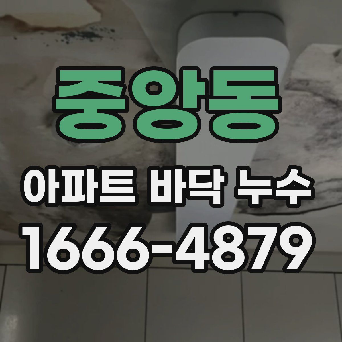 중앙동 아파트 바닥 누수