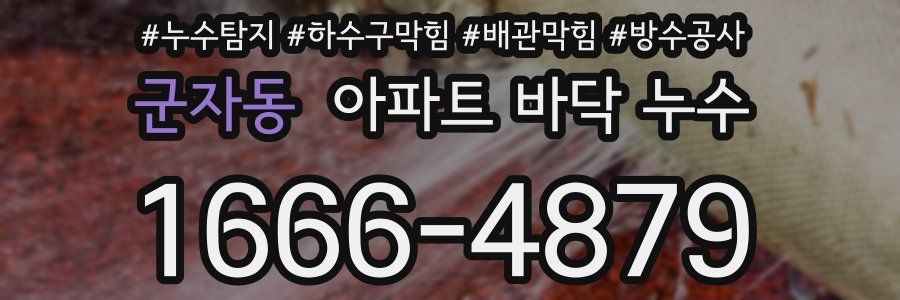 군자동 아파트 바닥 누수