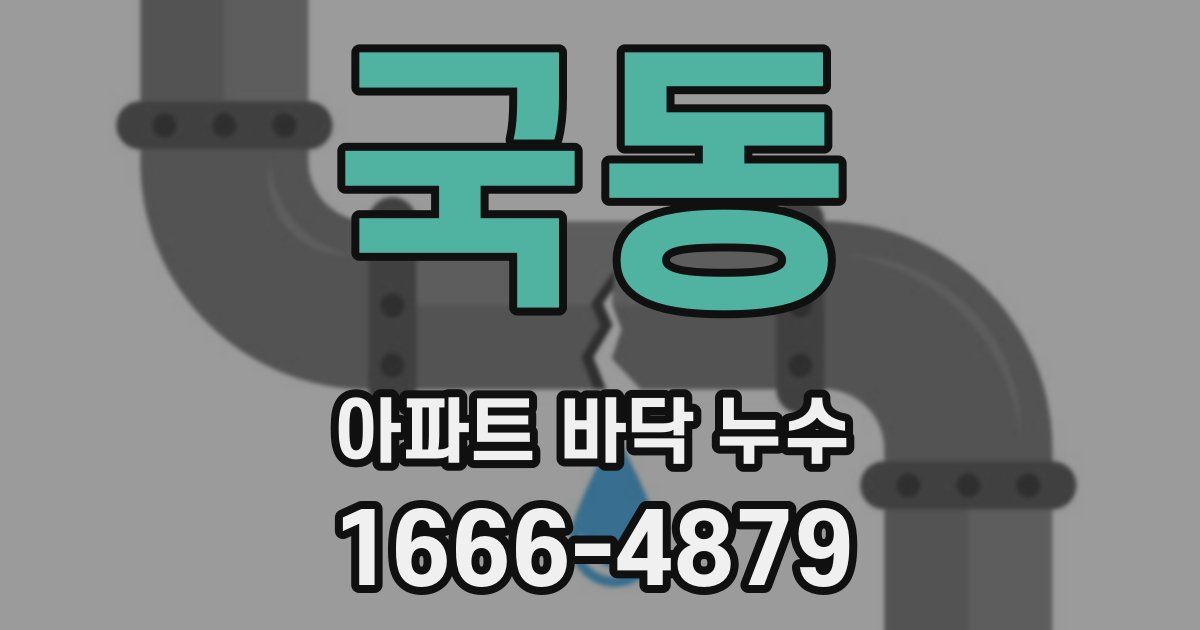 국동 아파트 바닥 누수