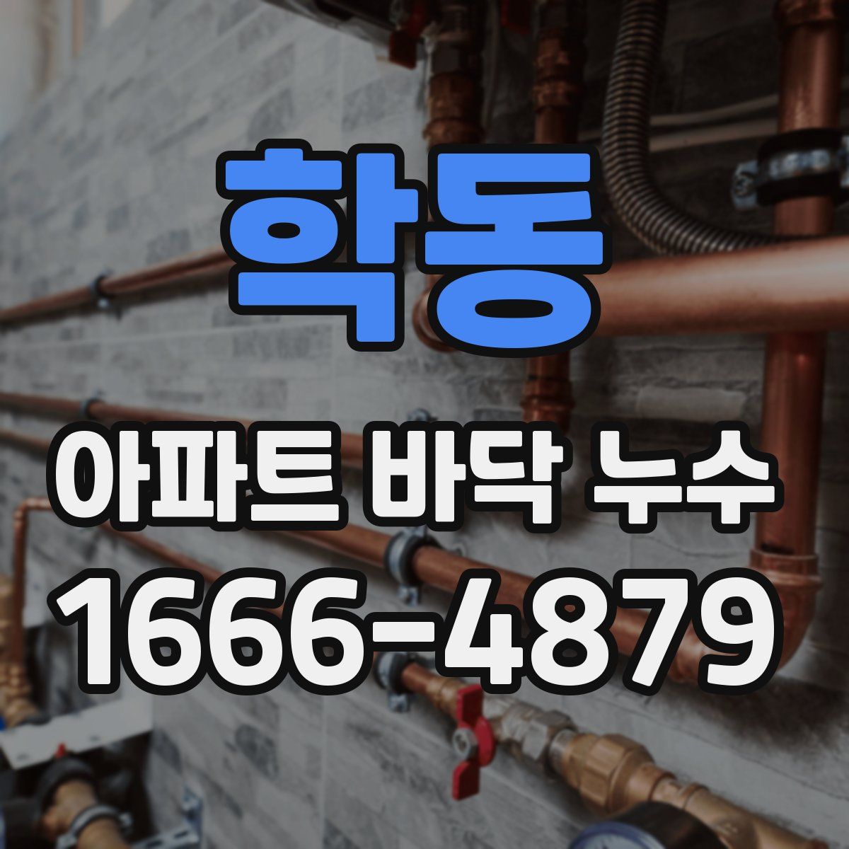 학동 아파트 바닥 누수
