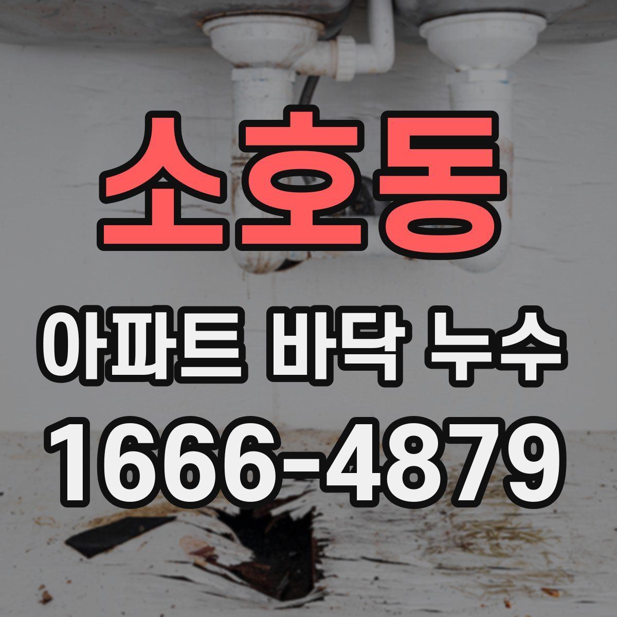 소호동 아파트 바닥 누수