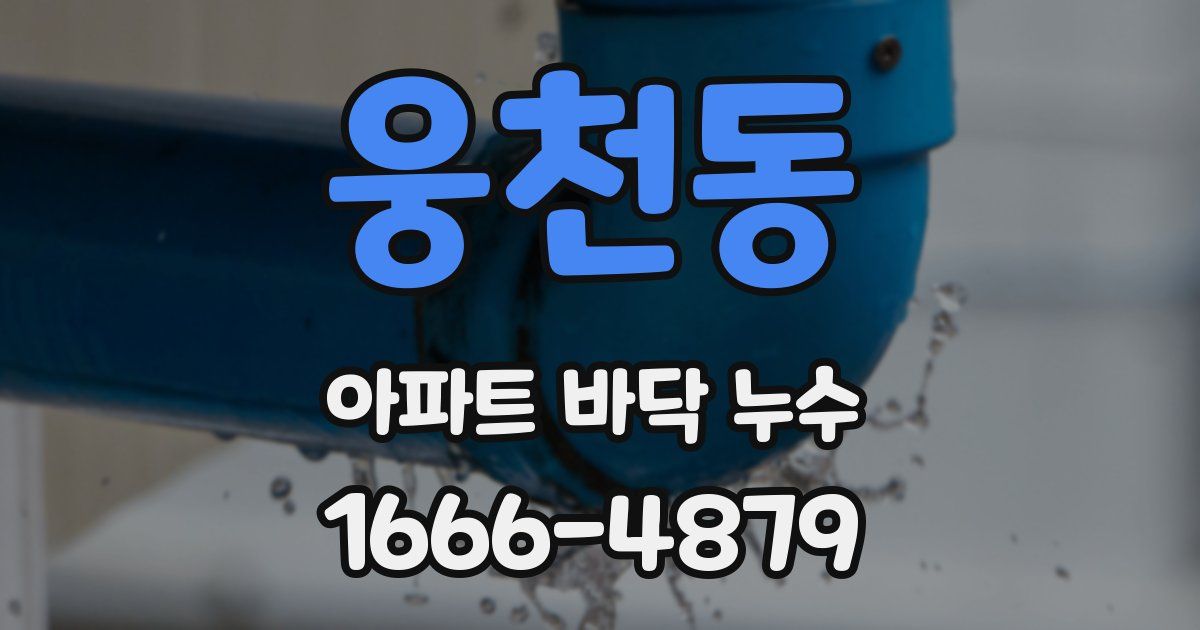 웅천동 아파트 바닥 누수