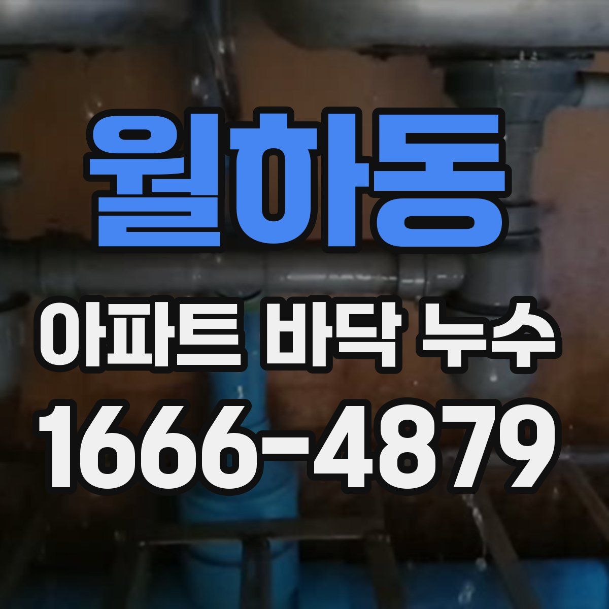 월하동 아파트 바닥 누수