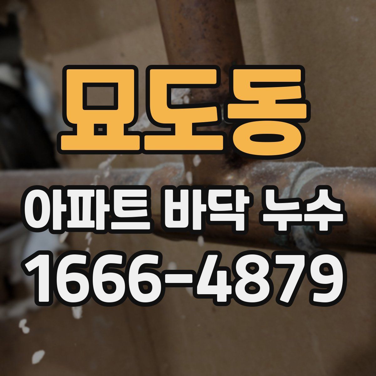 묘도동 아파트 바닥 누수