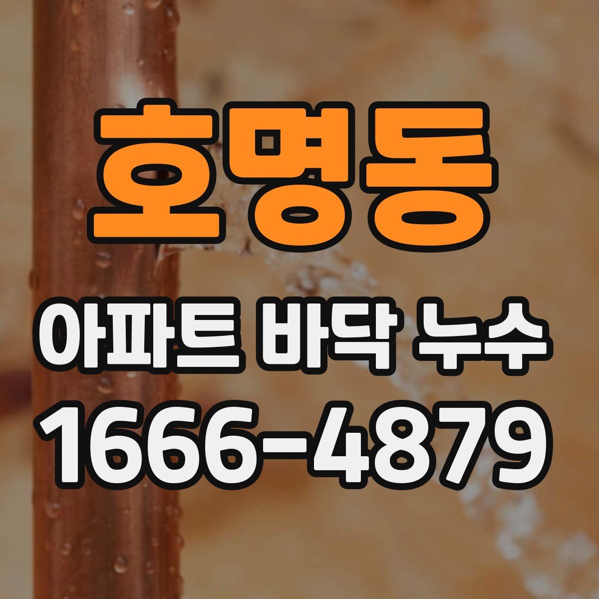 호명동 아파트 바닥 누수