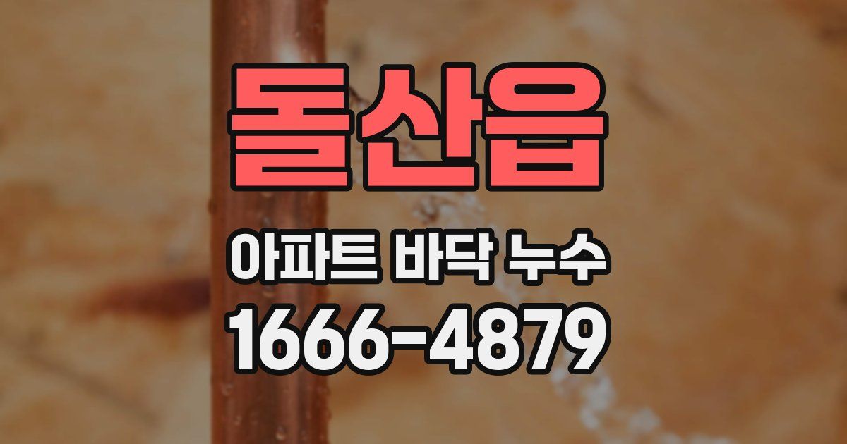 돌산읍 아파트 바닥 누수