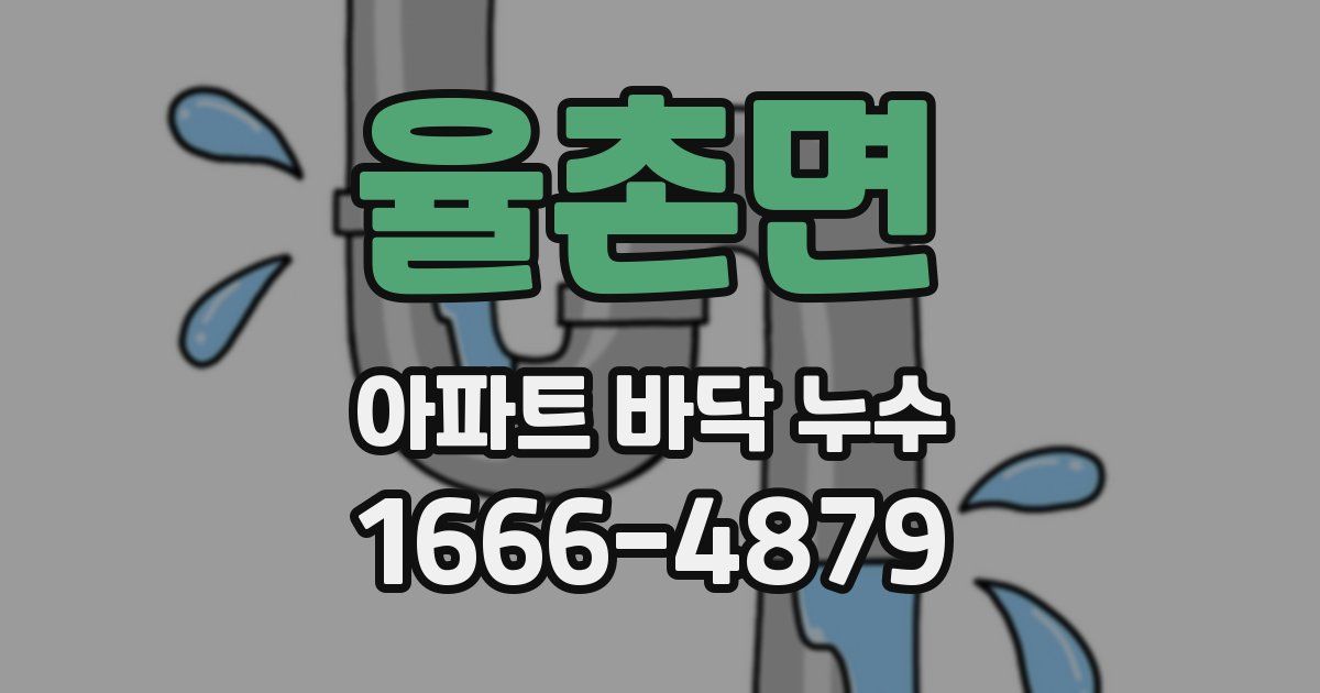 율촌면 아파트 바닥 누수