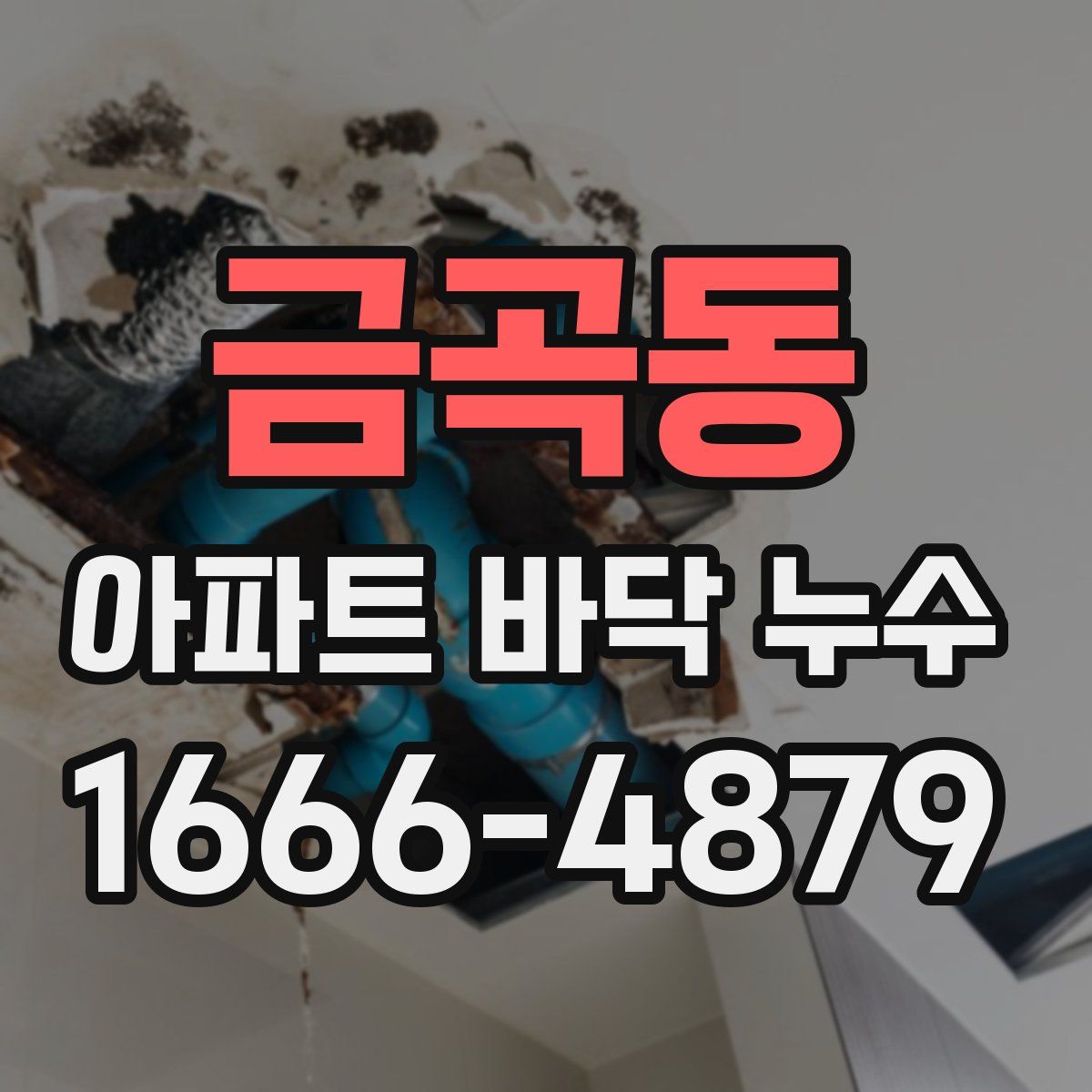금곡동 아파트 바닥 누수