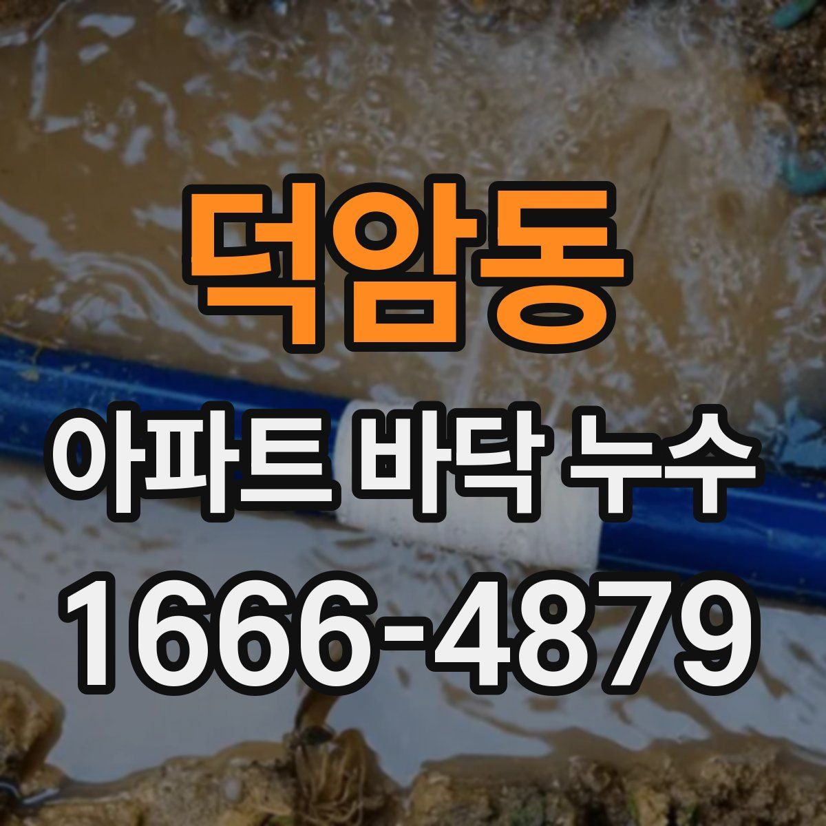 덕암동 아파트 바닥 누수