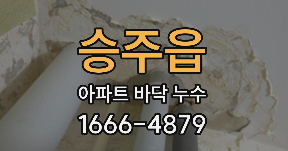 승주읍 아파트 바닥 누수