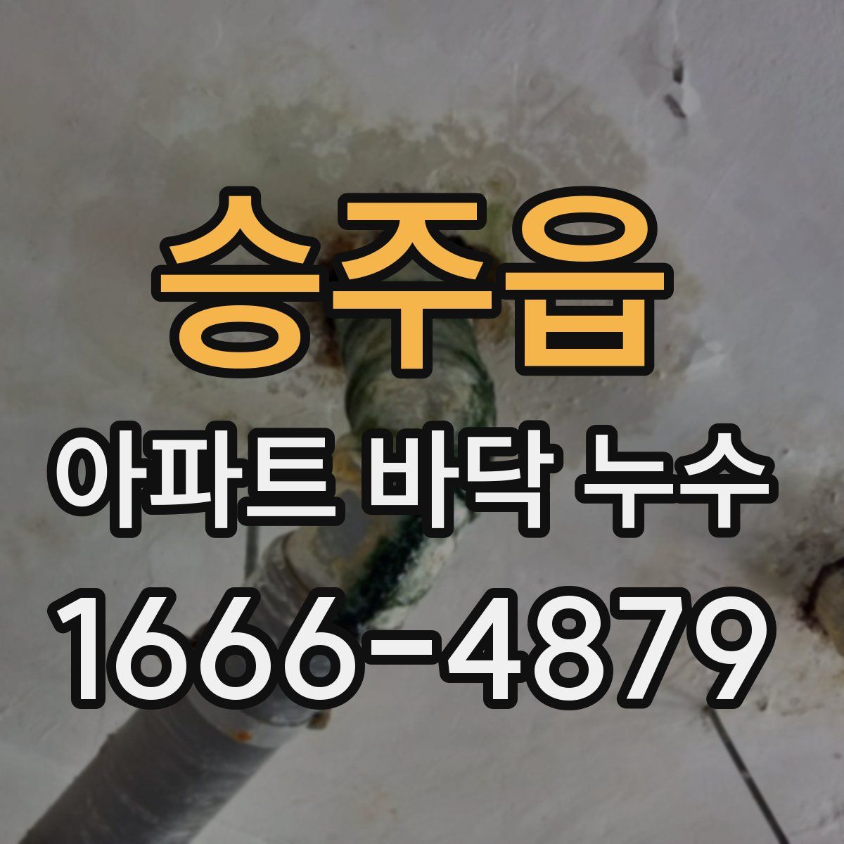 승주읍 아파트 바닥 누수