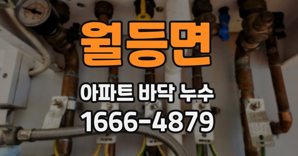 월등면 아파트 바닥 누수