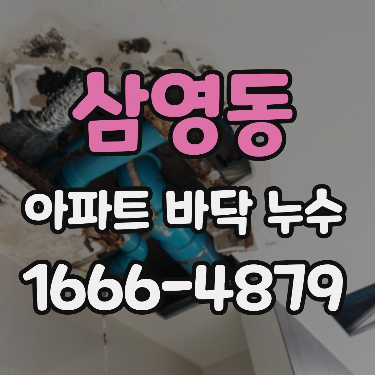 삼영동 아파트 바닥 누수