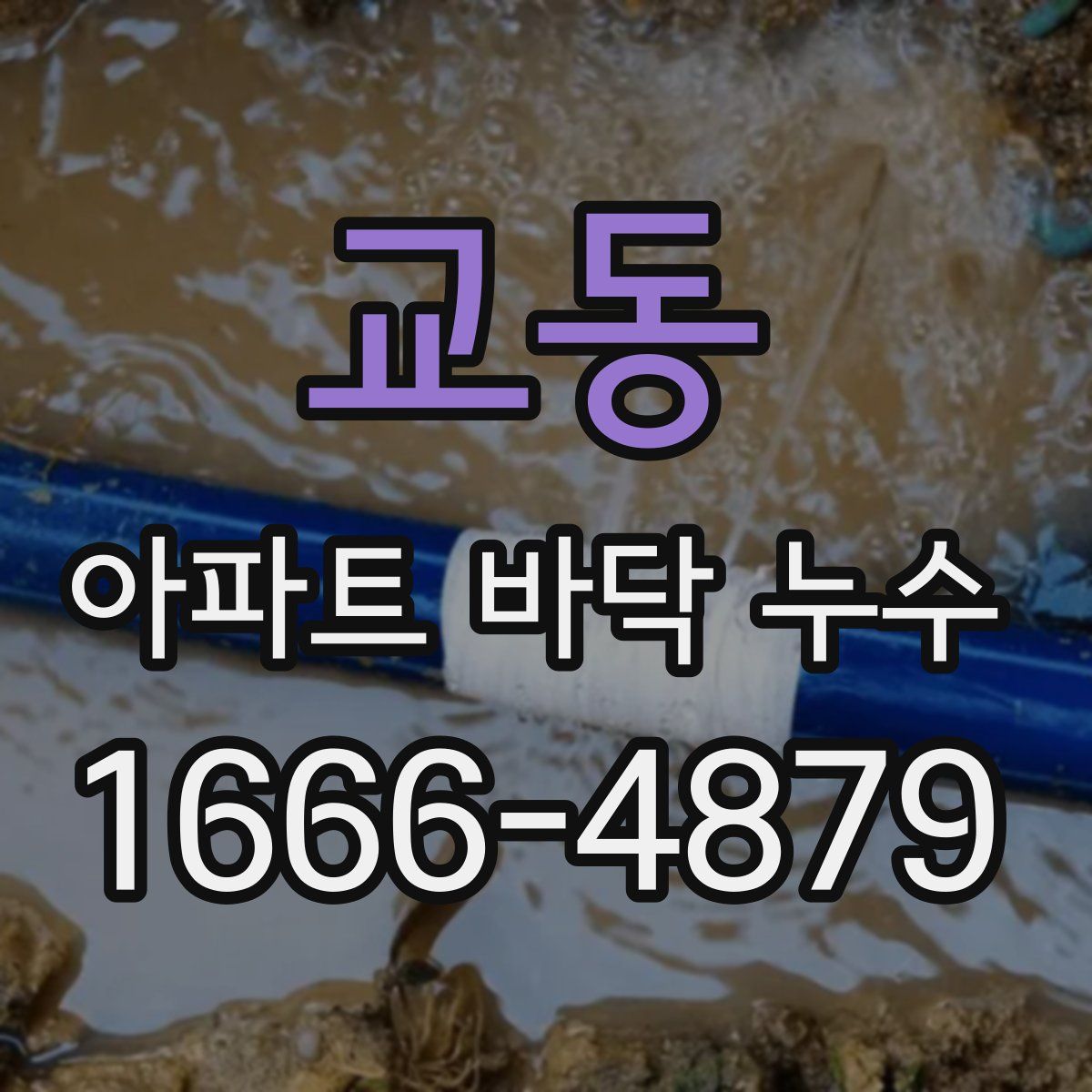 교동 아파트 바닥 누수