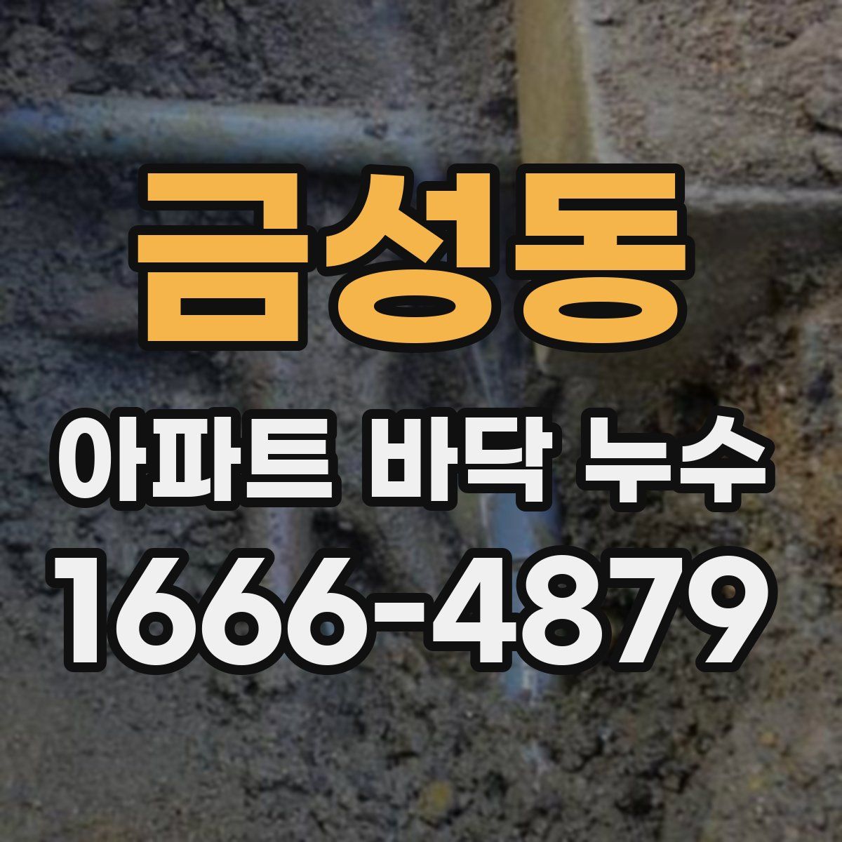 금성동 아파트 바닥 누수