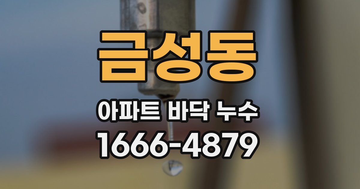 금성동 아파트 바닥 누수