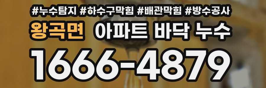 왕곡면 아파트 바닥 누수