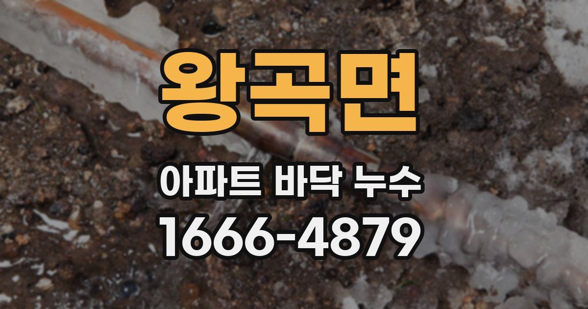 왕곡면 아파트 바닥 누수