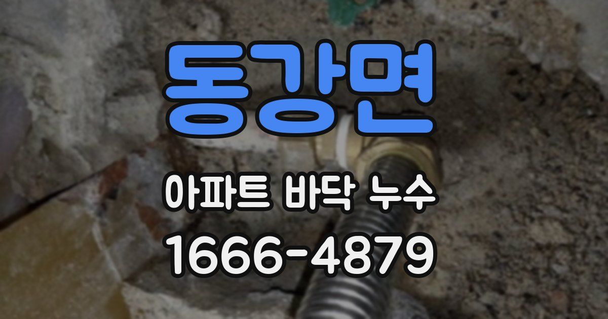 동강면 아파트 바닥 누수