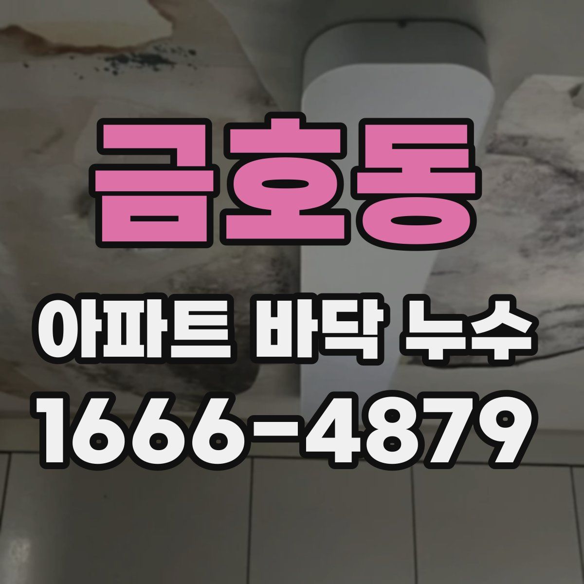 금호동 아파트 바닥 누수