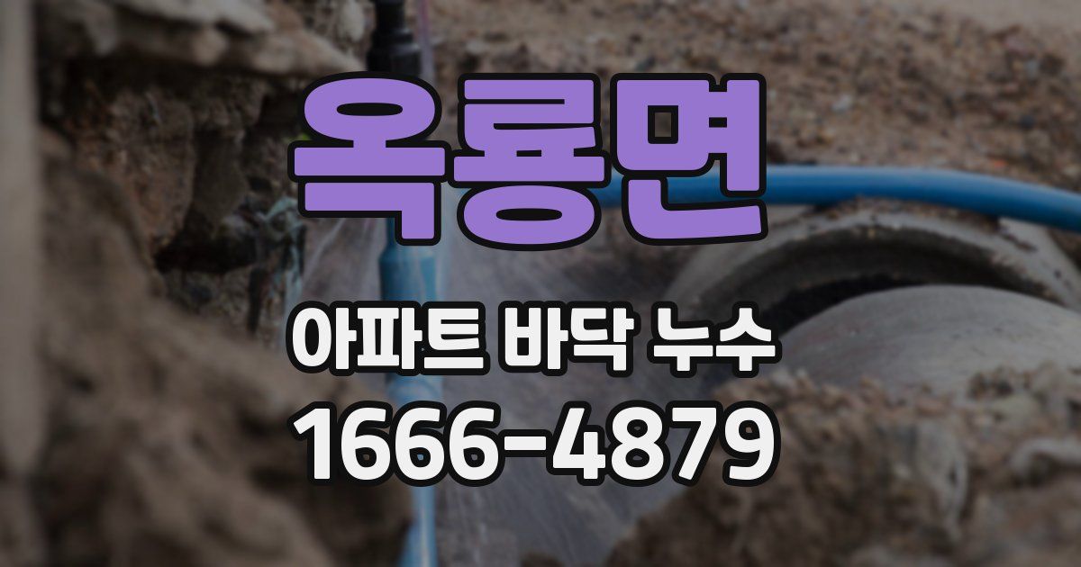 옥룡면 아파트 바닥 누수