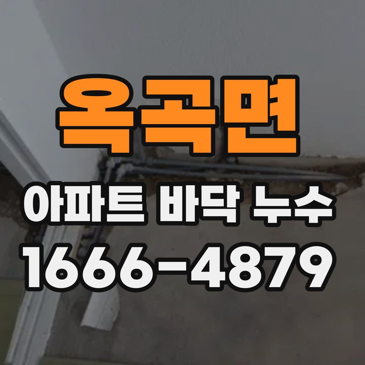옥곡면 아파트 바닥 누수