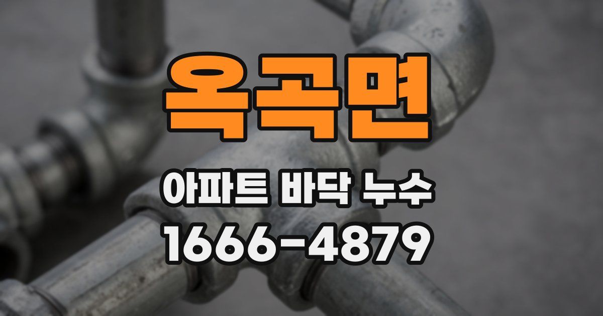 옥곡면 아파트 바닥 누수