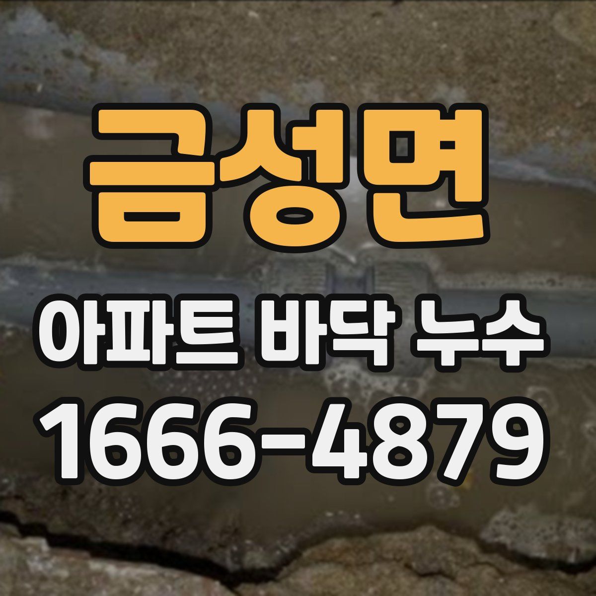 금성면 아파트 바닥 누수