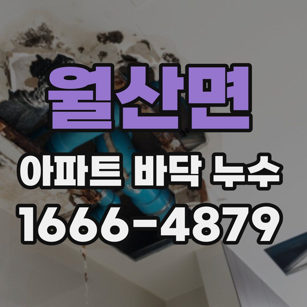 월산면 아파트 바닥 누수