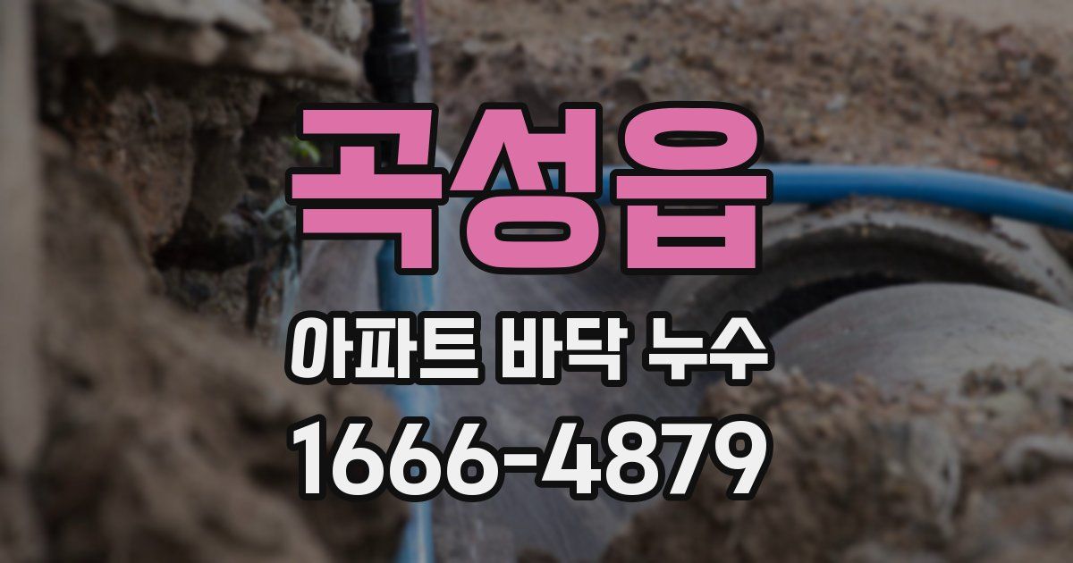 곡성읍 아파트 바닥 누수