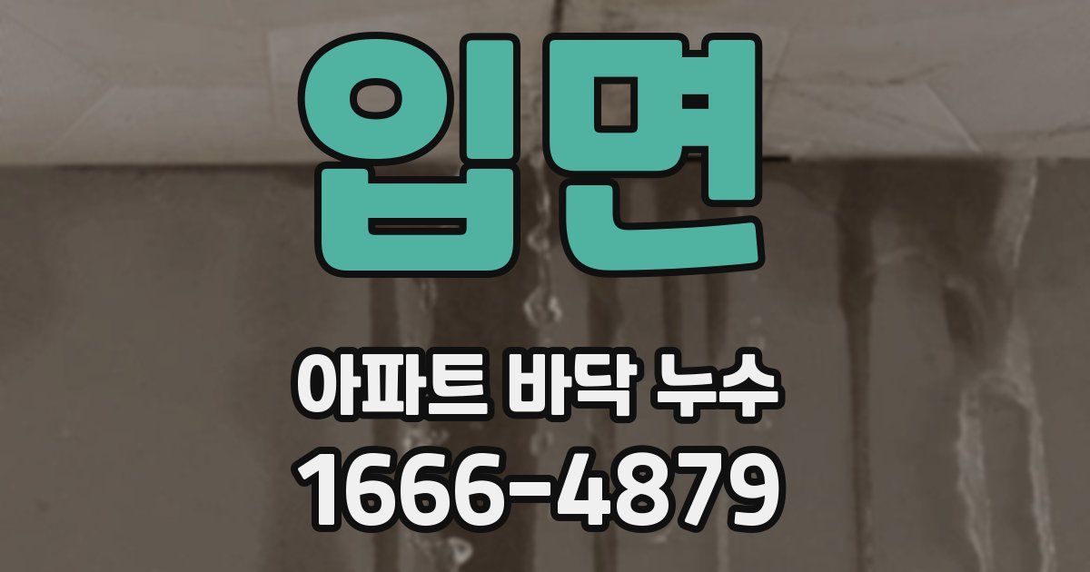 입면 아파트 바닥 누수